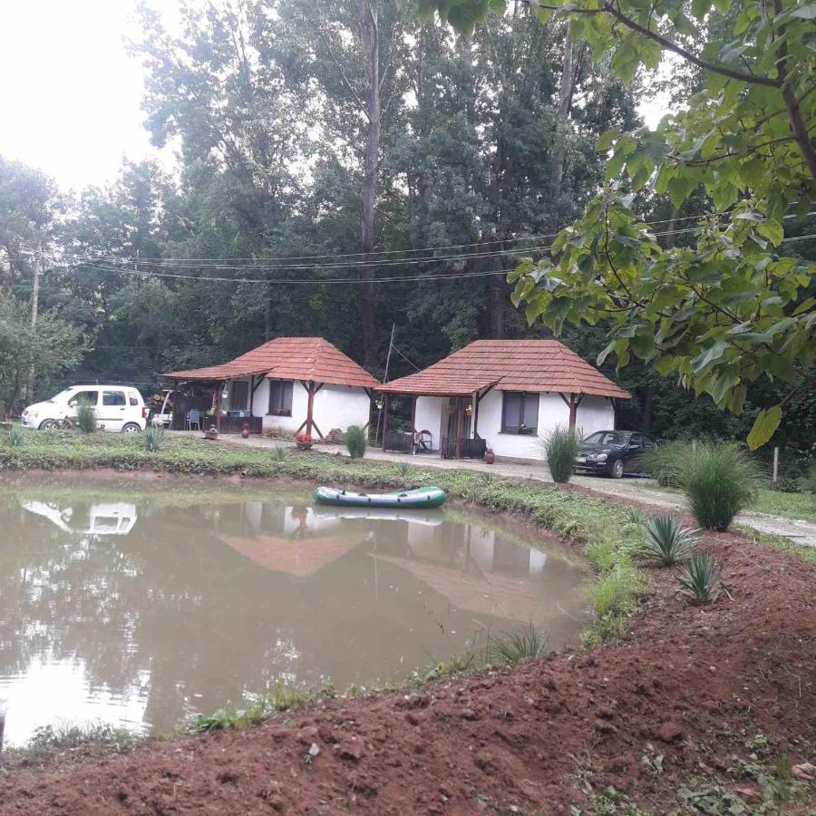 Sljivik Guest House Nis Luaran gambar
