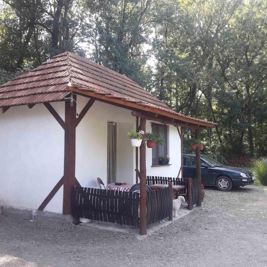 Sljivik Guest House Nis Luaran gambar