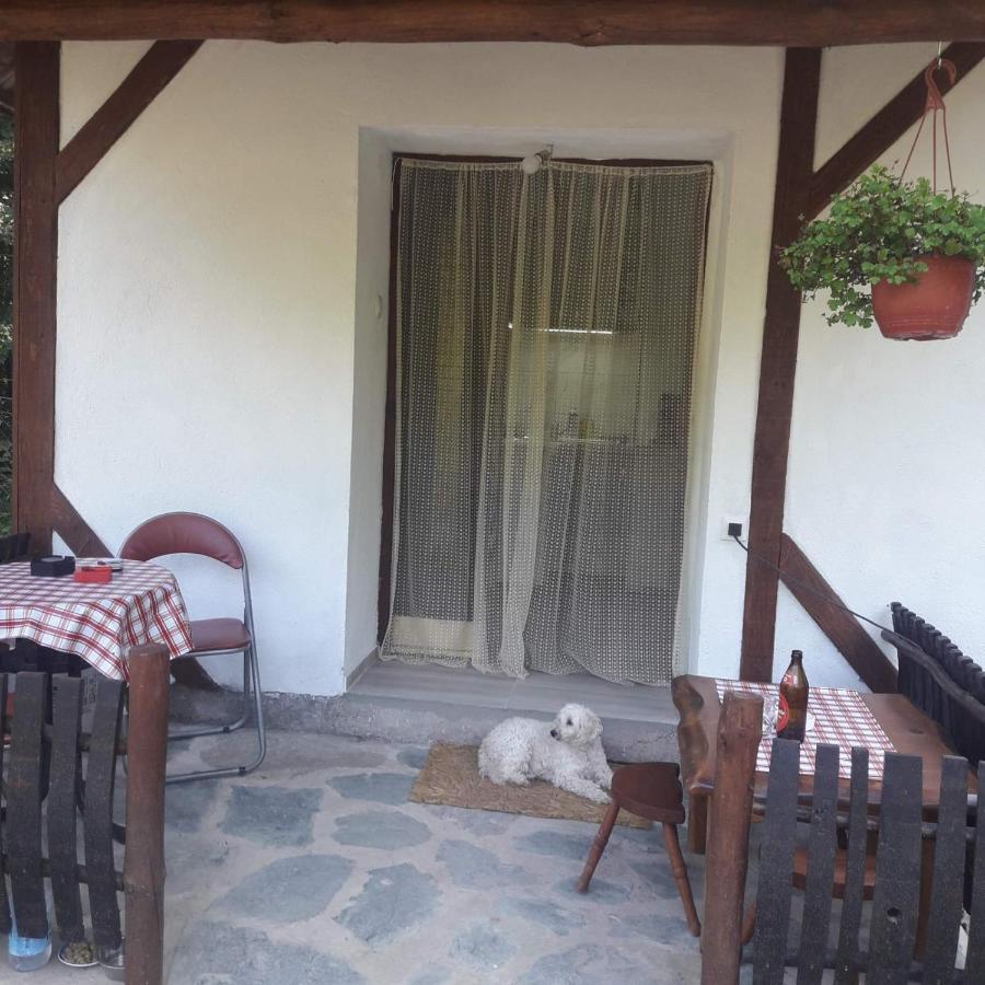 Sljivik Guest House Nis Luaran gambar